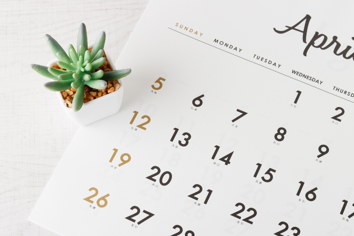 AdobeStock_334612830 (1)